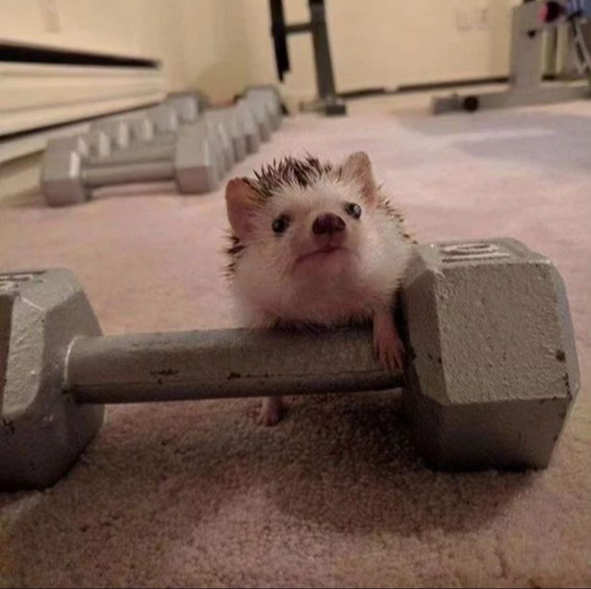 Gym icon